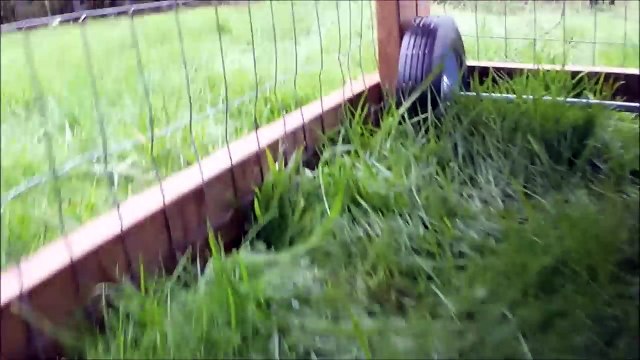 DIY Mobile Chicken Coops BY MOBILE CHICKENS LLC