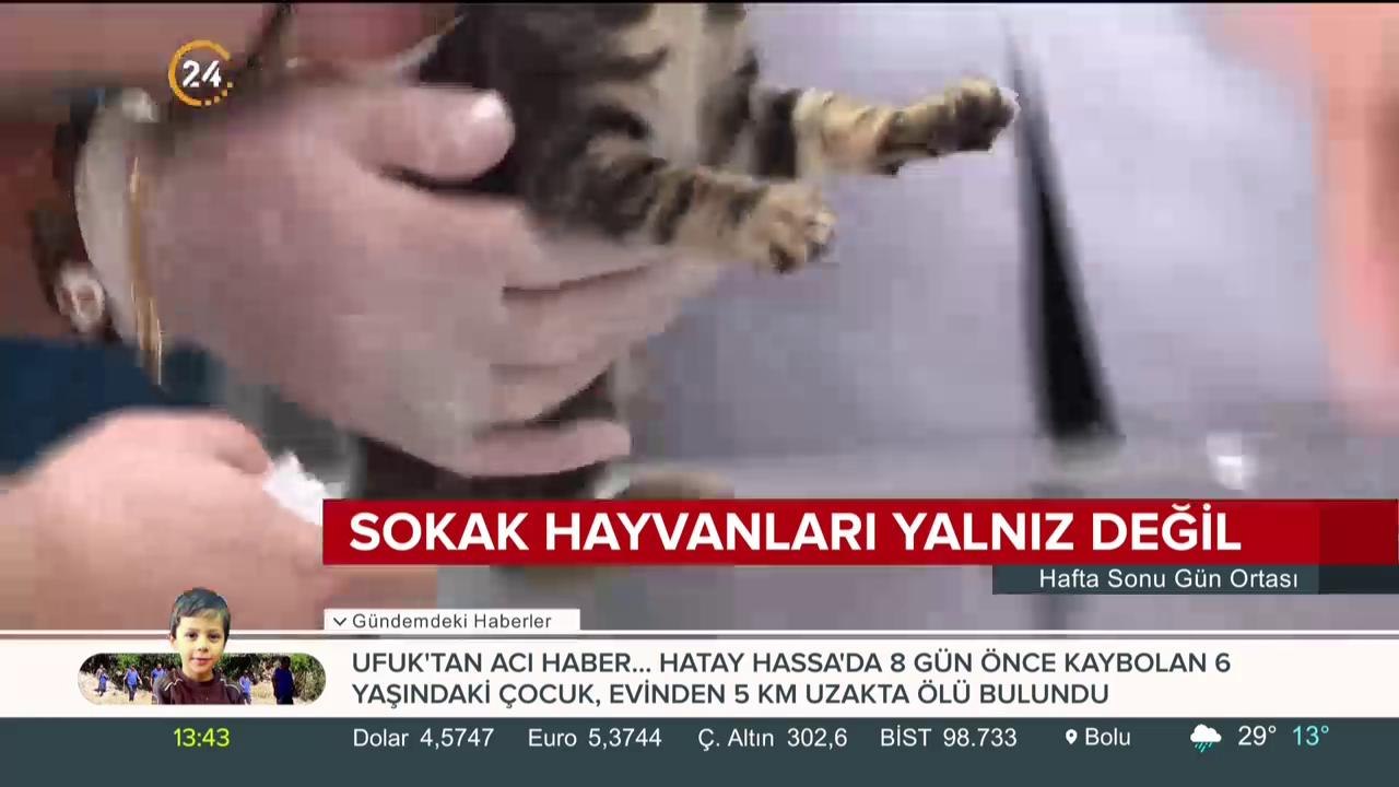 İBB bakıyor