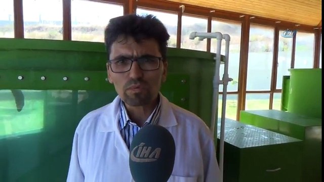 Hatay MKÜ Veterinerlik Fakültesi Deniz Kaplumbağalarına Şifa Dağıtıyor