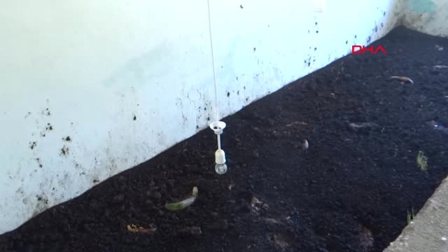 Adıyaman Evinde Solucan Dışkısıyla Organik Gübre Üretiyor, Taleplere Yetişemiyor