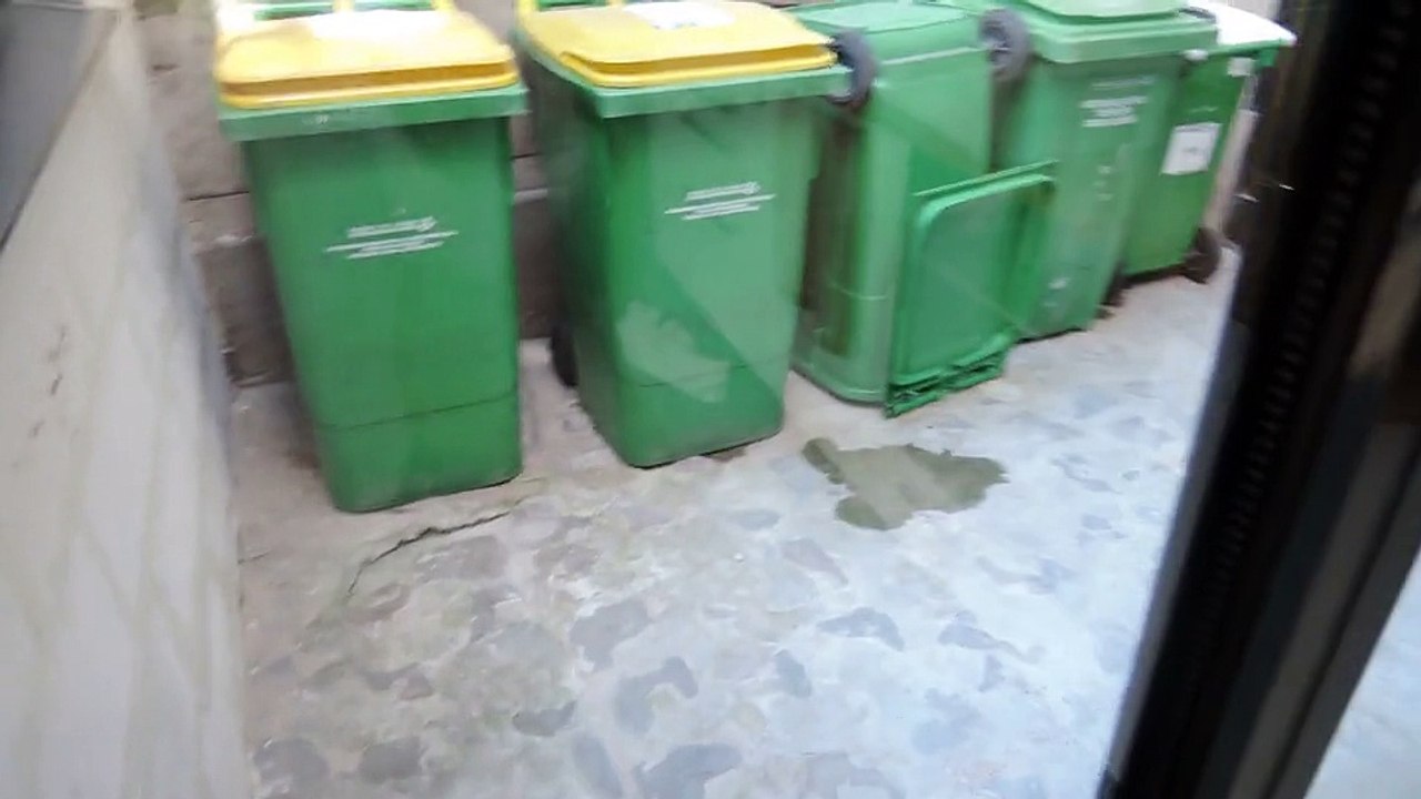 net video