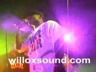 Laura Nblack Al Peco Straika - Just Bounce  Nouveau Casino