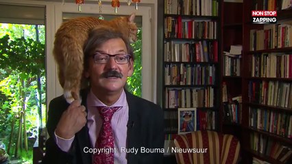 Pologne : Quand un historien donne une interview avec son chat sur la tête (Vidéo)