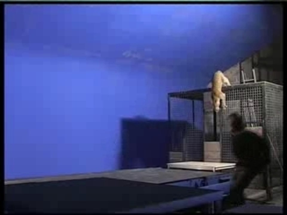 Le parcour de la panthere