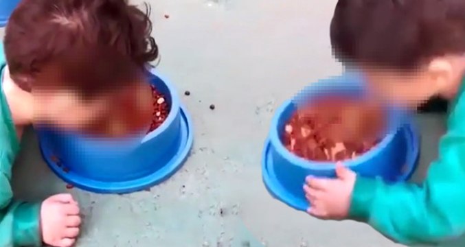 Oğluna Köpek Maması Yediren Cani Anne Her Yerde Aranıyor