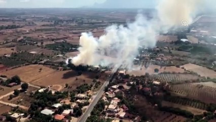 Kepez'de orman yangını - ANTALYA