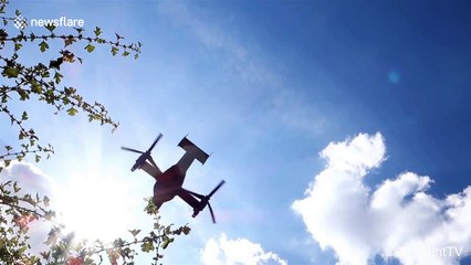 US military aircraft arrive en masse at RAF Northolt