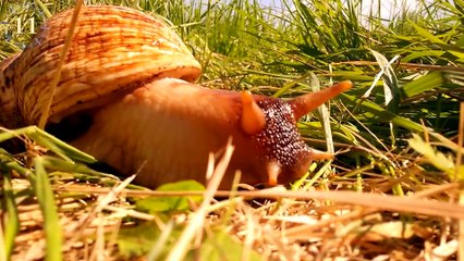 New Zealand: The Side Most Tourists Don't See