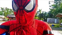 Spiderman Introduces Pet Tarantula