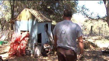 Cattle Rancher Says Fire Burns Through Food, Resources Needed For Livestock