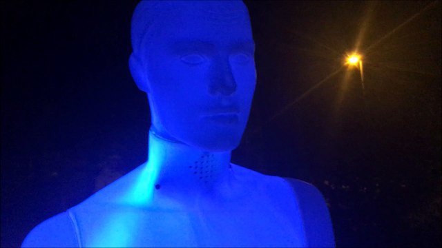 Les Hommes debout à Belleroche (Villefranche-sur-Saône)