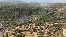 Antalya'da Orman Yangında 1 Hektar Zarar Gördü