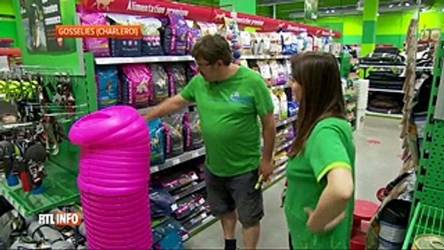 De nombreux Belges partent en vacances avec leur chien
