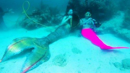 مهرجان موسيقي تحت الماء للتوعية بأهمية حماية الشعاب المرجانية