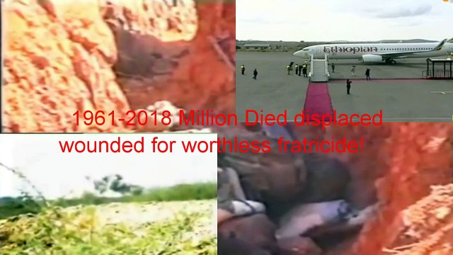 Ethiopian Premier in Asmara Eritrea-Ethiopian War and Peace 1961-2018- EPPF Position