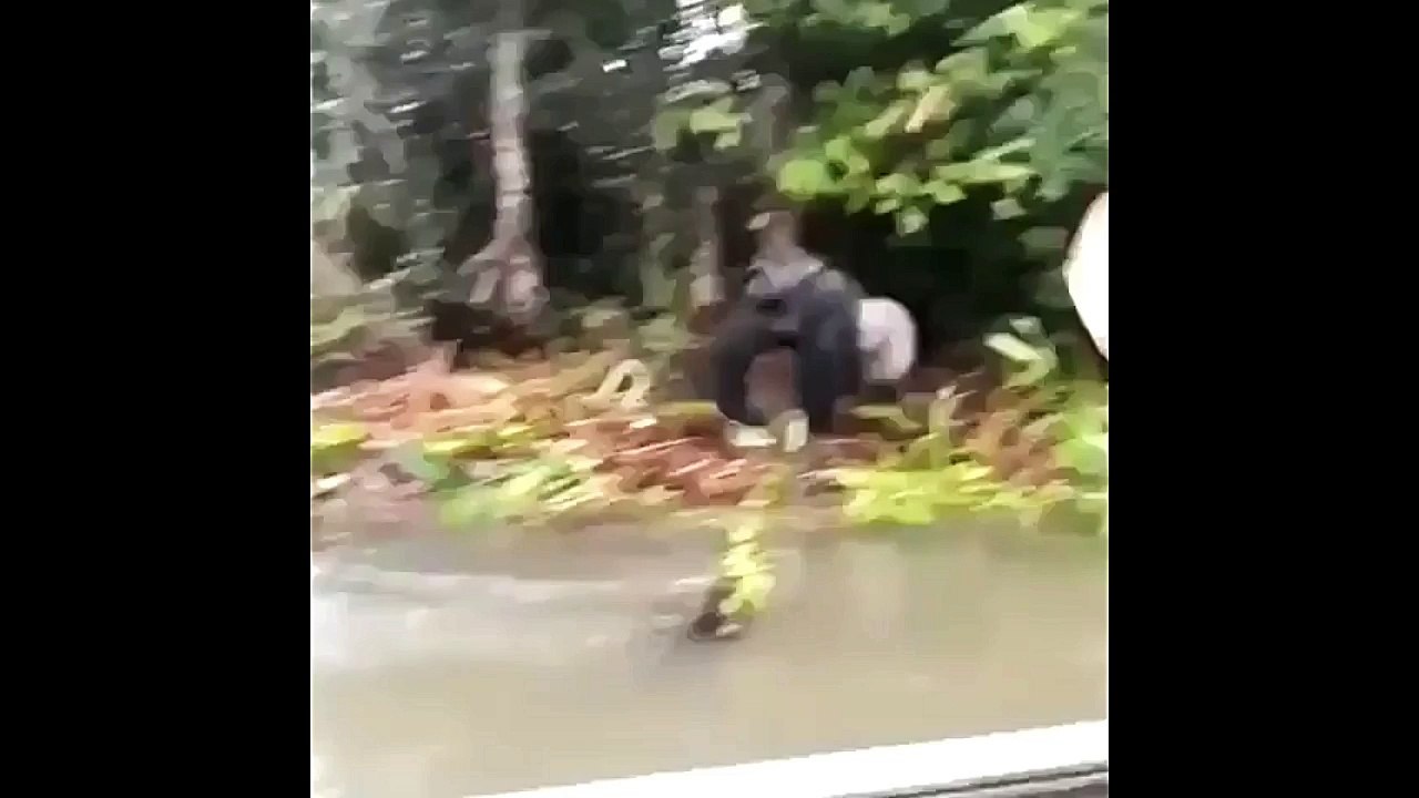 The Monkey Says: Get Out of Here, No Fishing Here