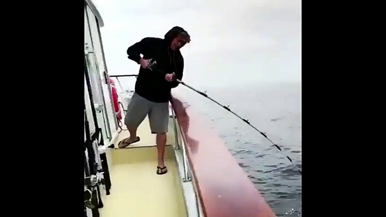 Amazing Giant Catch