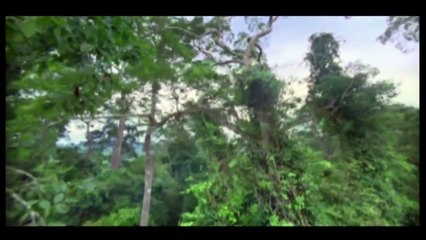 Hopi prophecy a perspective on life