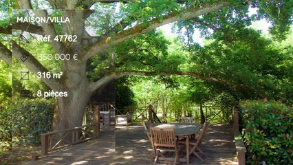 A vendre - Maison/villa - BOULOC (31620) - 8 pièces - 316m²