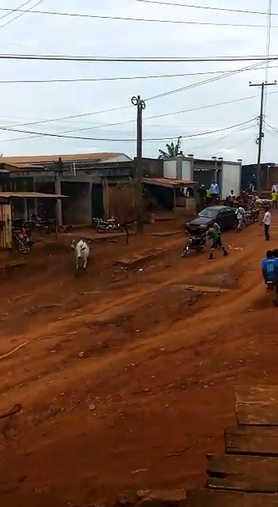 White Bull Drop The Bike India