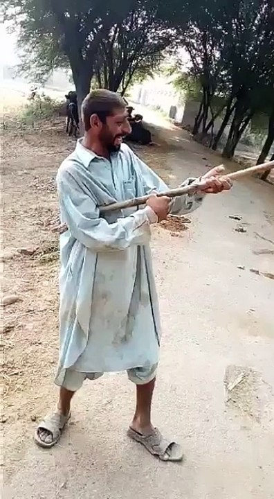 Pagal Admi ny kiya kardiya