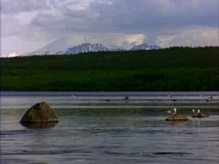 Negative  too much love will kill you