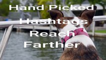 Dog Hashtags - Most Popular Hashtags - Best #Dog #Hashtags!