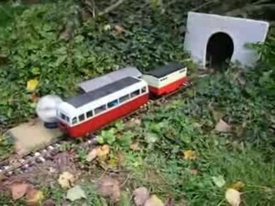 Train de jardin autorail de dion