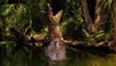 Nat Geo Wild Documentary - Amazing Species Hidden Deep in Jungle  Part 3
