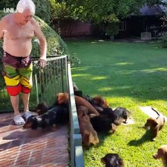 Swimming Pools Are The Real MVP Of Summer