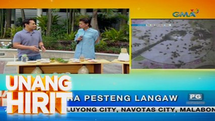 Unang Hirit: Tips para maiwasan ang pagdami ng mga langaw