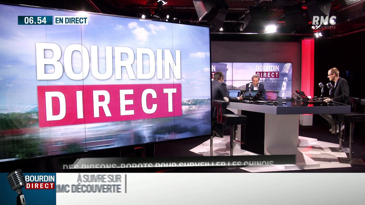 La chronique d'Anthony Morel : Des pigeons-robots pour surveiller les Chinois - 09/07