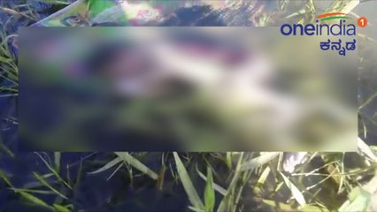 ಟಿ ನರಸೀಪುರದಲ್ಲಿ ತಾಯಿ ಮಗುವಿನ ಜೀವದ ಹೃದಯ ವಿದ್ರಾವಕ ಘಟನೆ ನಡೆದಿದೆ  | Oneindia Kannada