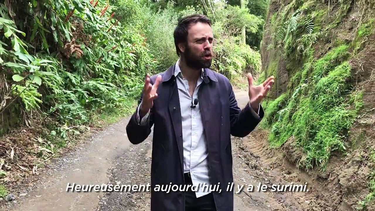 ⏩ Depuis Quand ça existe le surimi ? Peut-on fumer du surimi ? La réponse dans ce superbe épisode de  epuis Quand !