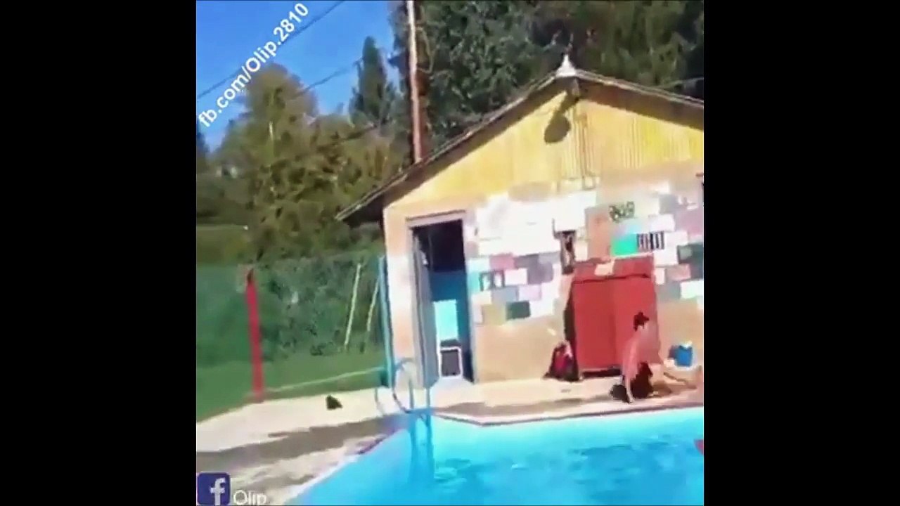 funny people falling video