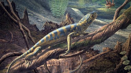 The Living Beach Series 1 3of6 Novia Scotia