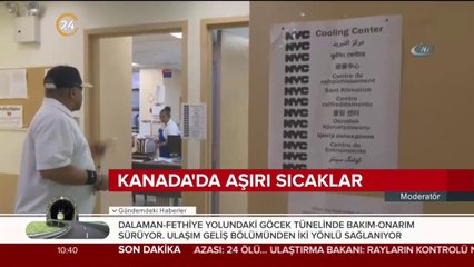 13 eyalette orman yangınları