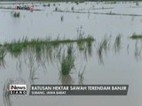 Ratusan hektar sawah di Subang terendam banjir, tanaman padi membusuk - iNews Siang 19/02