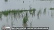 Ratusan hektar sawah di Subang terendam banjir, tanaman padi membusuk - iNews Siang 19/02