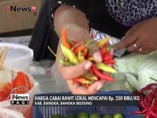 Dampak Cuaca Buruk, Harga Cabai Lokal Melonjak - iNews Pagi 21/02