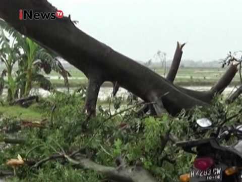 Video amatir detik-detik hujan deras disertai angin kencang di Demak - iNews Malam 13/03