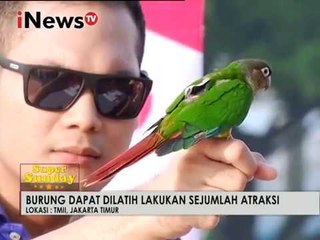Serunya Aksi Stacking Part 04 - iNews Super Sunday 12/03