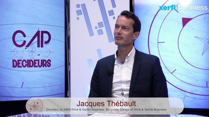 Marketing : comment réussir un lancement international [Jacques Thébault]