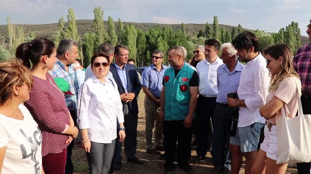 Türkiye'nin en büyük lavanta tarlasında hasat başladı - BURDUR