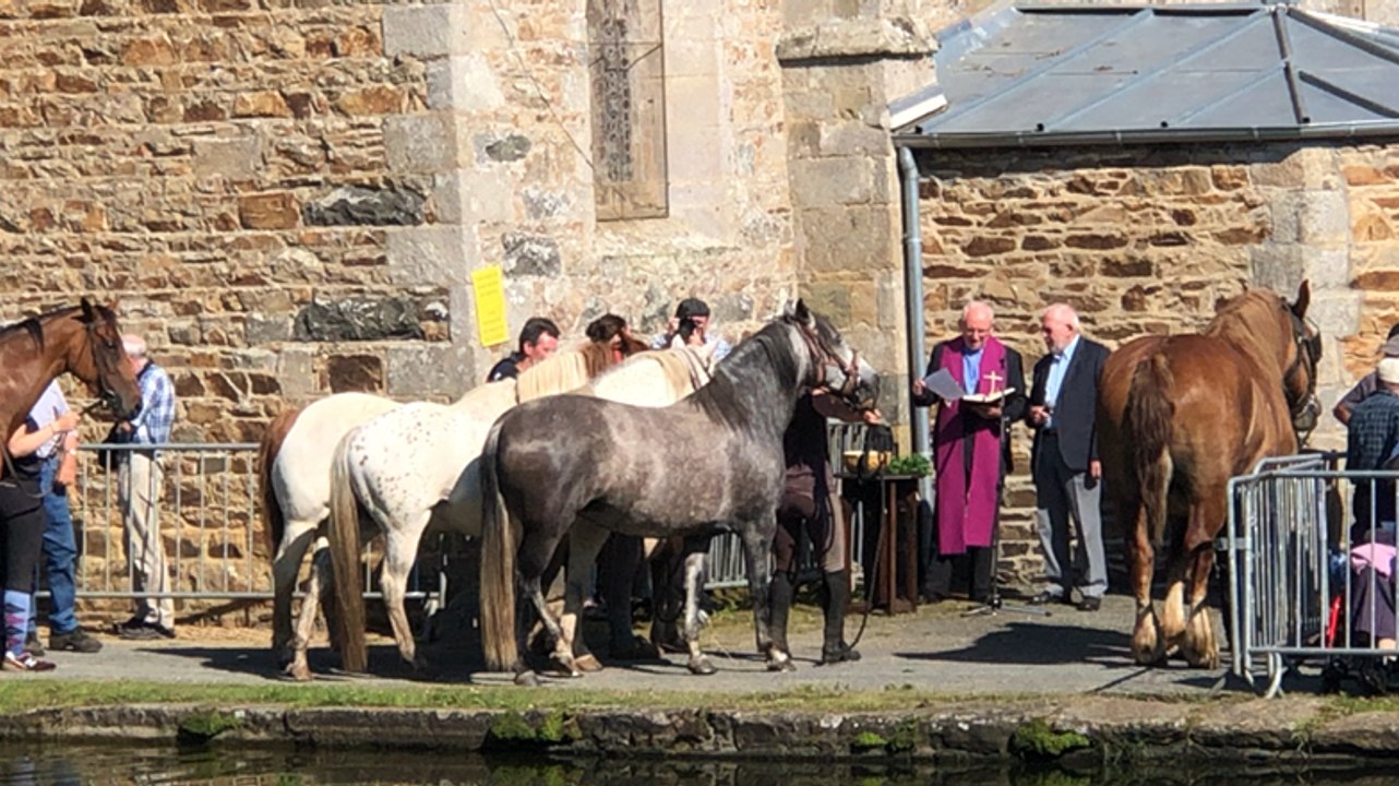 Baignade des chevaux à Goudelin