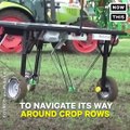 This weed-pulling robot is cheaper and better for the environment (via NowThis Future)