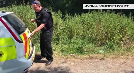 GOODLINES: July 8th 2018