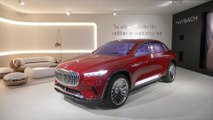 Mercedes-Benz Design Essentials II, Workshop - Ultimate Luxury - The Experience of Mercedes-Maybach
