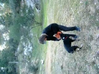 american staff cahouette bis