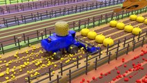 07.Colors For Children To Learn With Tractor Trucks #v - Learn Colors with Farm Truck & Rice Harvester_2